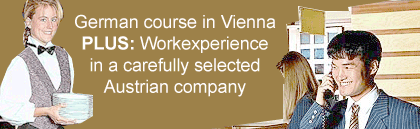 German and International Work Experience